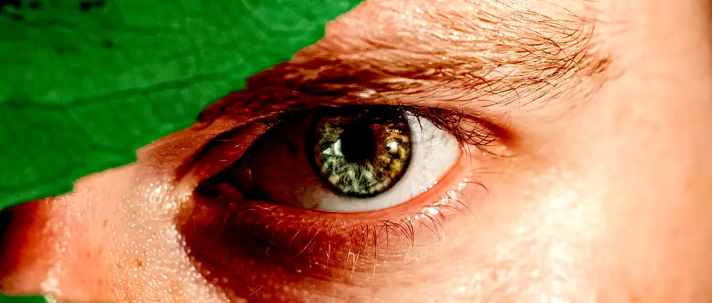 A man looking at viewer. Focus on eye.