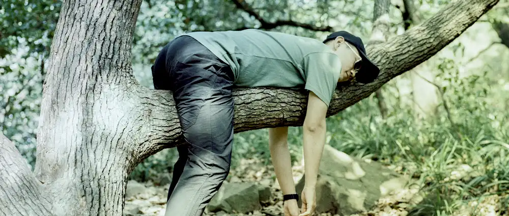 Lazy man sleeping on a tree's branch.